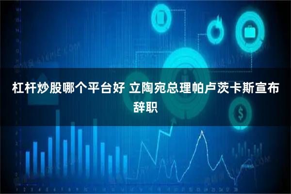 杠杆炒股哪个平台好 立陶宛总理帕卢茨卡斯宣布辞职